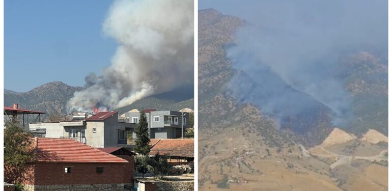 Manisa’daki orman yangını devam ediyor