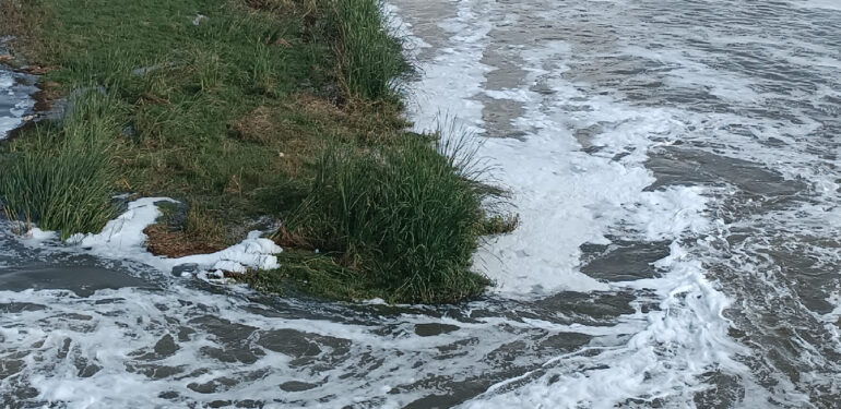 Bismil Belediyesi’nden Dicle Nehri uyarısı