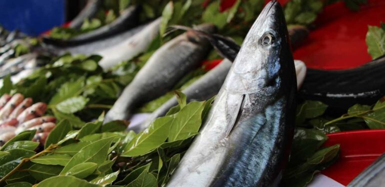 Denizlerde fırtına var, balık fiyatları artıyor