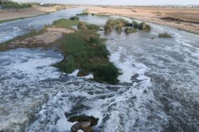 690x390cc-amd-17-10-2024-dicle-nehri