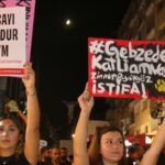 690x390cc-izm-11-10-2024-gebzedeki-hayvan-katliamina-tepki3