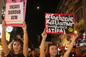 690x390cc-izm-11-10-2024-gebzedeki-hayvan-katliamina-tepki3