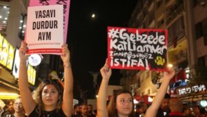690x390cc-izm-11-10-2024-gebzedeki-hayvan-katliamina-tepki3