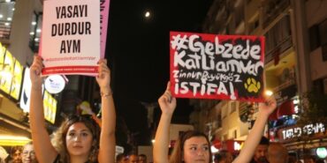 690x390cc-izm-11-10-2024-gebzedeki-hayvan-katliamina-tepki3