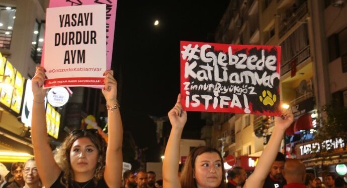 Gebze’deki hayvan katliamı protesto edildi