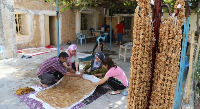 Mardin’de bağcılık hızla terk ediliyor