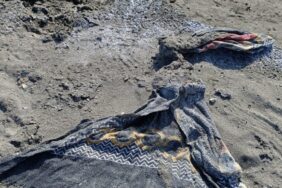 690x390cc-v-10-10-2024-rojin-kabais-desmal-hat-ditin1