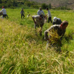 BATMANDA-TARIM-MAKINELERININ-GIREMEDIGI_367559_101435-1024x575