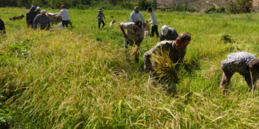 BATMANDA-TARIM-MAKINELERININ-GIREMEDIGI_367559_101435-1024x575