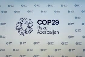 COP29-2-990x556