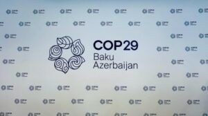 COP29-2-990x556