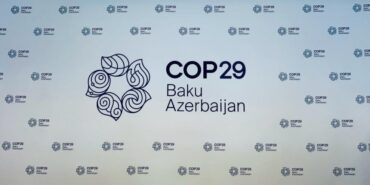 COP29-2-990x556