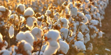 Ekran görüntüsü 2024-10-05 202839