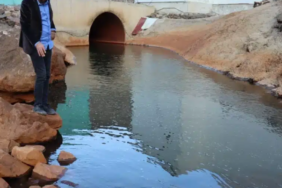 Ekran görüntüsü 2024-10-08 221237