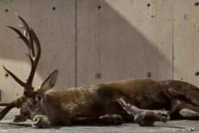 Ekran görüntüsü 2024-10-09 195555