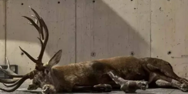 Ekran görüntüsü 2024-10-09 195555