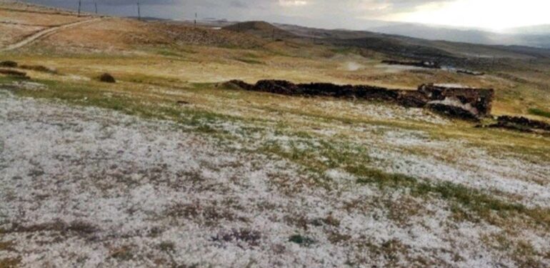 Ağrı’da yaşanan kuraklık ve yağışlardaki düzensizlik tarımsal üretimi vurdu