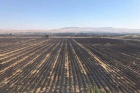 batman anız yangını (4)