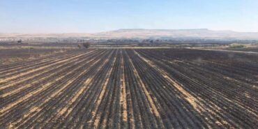 batman anız yangını (4)