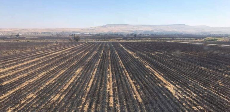 Batman, anız yangınlarıyla mücadele ediyor