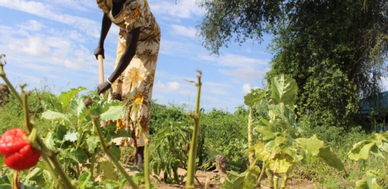 İklim değişikliği sağlığı tehdit etmeye devam ediyor