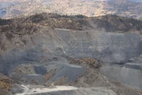 srnk-30-10-2024-sirnex-agac-kiyimi3-750x375