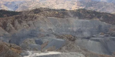 srnk-30-10-2024-sirnex-agac-kiyimi3-750x375