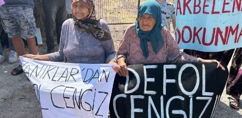 Kaz Dağları’nda Cengiz Holding’in açmak istediği maden projesi için yürütmeyi durdurma kararı çıktı