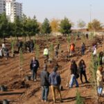 690x390cc-amd-14-11-2024-esbaskanlar-fidan-dikimi1