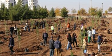 690x390cc-amd-14-11-2024-esbaskanlar-fidan-dikimi1