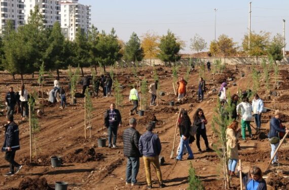 690x390cc-amd-14-11-2024-esbaskanlar-fidan-dikimi1