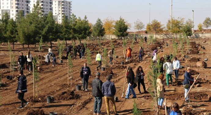 Katledilen kadınlar için fidan dikildi