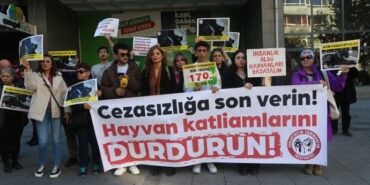 690x390cc-ank-09-11-2024-hayvan-haklari-basin-aciklamasi1