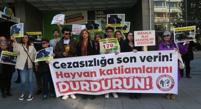 Hayvan hakları savunucularından AYM’ye: Yasayı geri çek