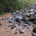 690x390cc-ordu-30-11-2024-orduda-findik-bahcesine-tas-ocagi