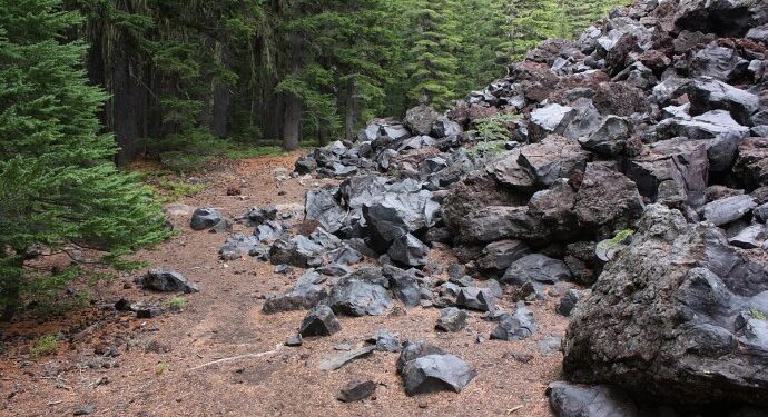 Ordu’da fındık bahçesine taş ocağı