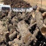 690x390cc-srnk-26-11-2024-gabar-qirkirina-xwezaye-didome