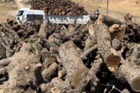 690x390cc-srnk-26-11-2024-gabar-qirkirina-xwezaye-didome