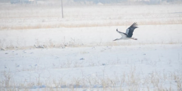 Ekran görüntüsü 2024-12-26 092005