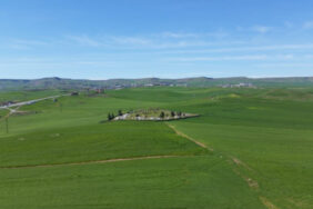 whatsapp-image-2024-12-25-at-18-17-42-001-1024x576