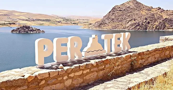 114 hayvan öldü, ilçe 30 gün karantinaya alındı