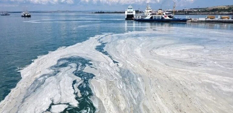 İki belediye ve dört işletmeye ‘müsilaj’ cezsı kesildi