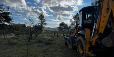 690x390cc-mgl-02-01-2024-akbelende-zeytin-agaclari-sokuluyor3