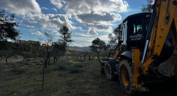 Maden şirketleri zeytin ağaçları sökümü için hazırlıklara başladı