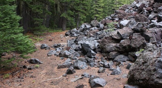 Pazar’daki su kaynakları alanına taş ocağı