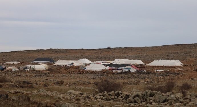 Ekolojik kırım koçerliği  bitirme noktasına getirdi
