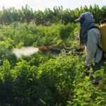 690x390cc-turkce-ozel-izm-30-12-2024-gida-guvenligi-ciftci-sen-rop