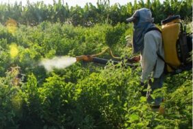 690x390cc-turkce-ozel-izm-30-12-2024-gida-guvenligi-ciftci-sen-rop