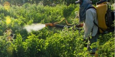 690x390cc-turkce-ozel-izm-30-12-2024-gida-guvenligi-ciftci-sen-rop