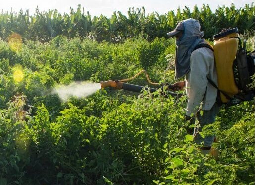 İhraç edilen 489 ürün iade edildi